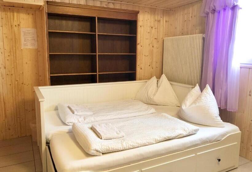 اتاق استاندارد با سرویس بهداشتی مشترک, Interlaken Marco Hostel