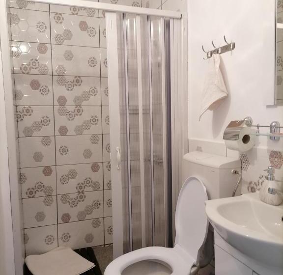 اتاق استاندارد سه نفره, Pensiunea Broscuta