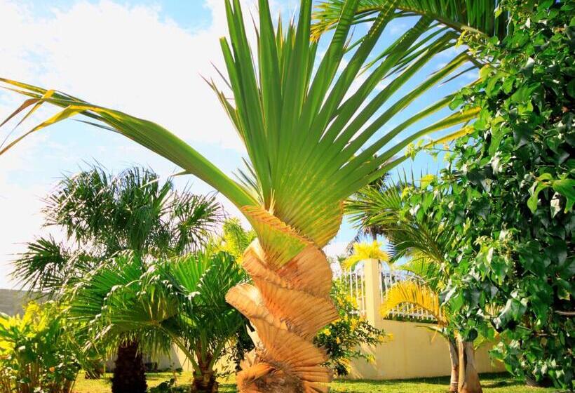 اتاق دوبلکس, L Oasis De Terre Rouge