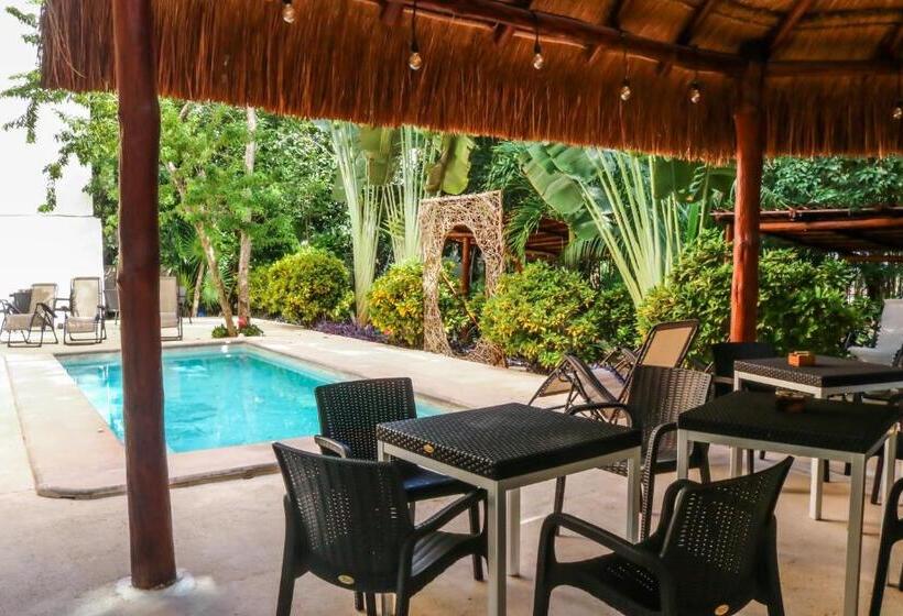 آپارتمان 1 خوابه با چشم‌انداز استخر, Tulum Nah
