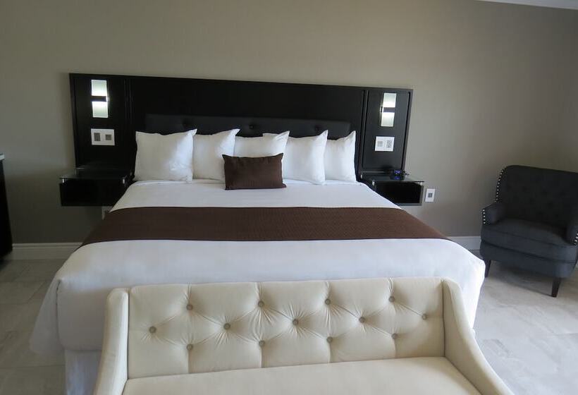高级工作室, Dockside Suites