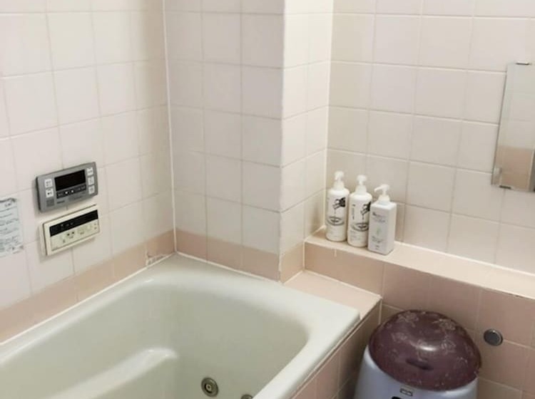 Апартаменты 1 Спальня, Fuji Gotemba Condominium Tannpopo
