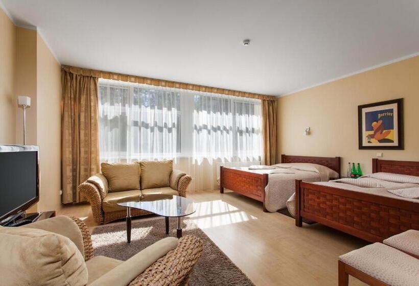 اتاق خانوادگی, Mineraliniai Apartamentai