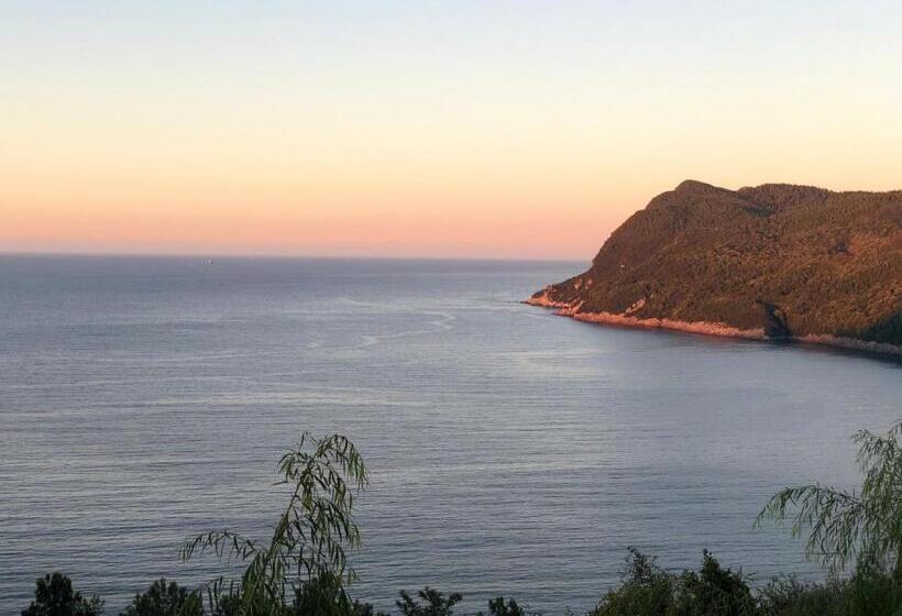 اتاق لوکس چهار تخته, Amasra Ceylin Otel