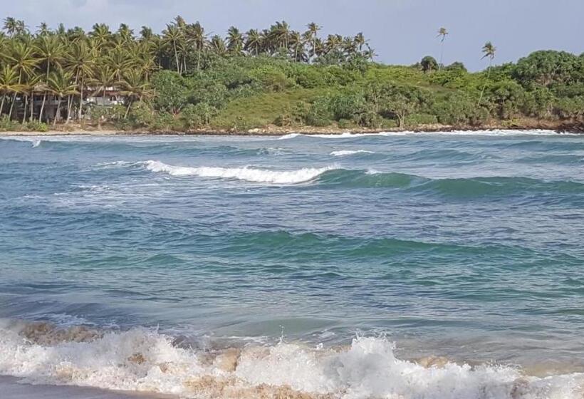 اتاق استاندارد, Blue Beach Paradise