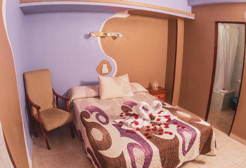标准间, Hostal La Rosa