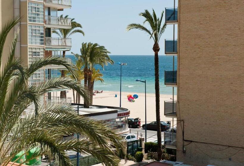 Habitación Estándar Vista Jardín, El Palmeral