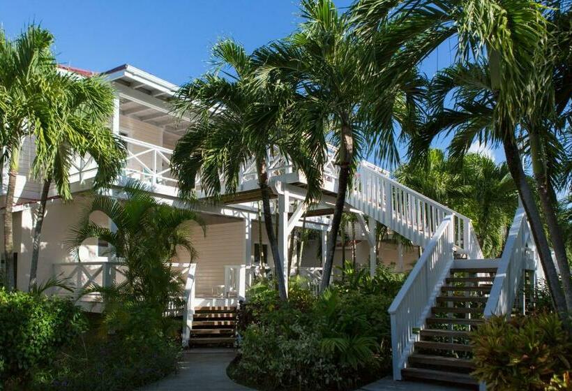 سوئیت پریمیوم, Galley Bay Resort & Spa