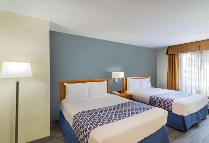 スタンダードルーム, Econo Lodge Inn & Suites University