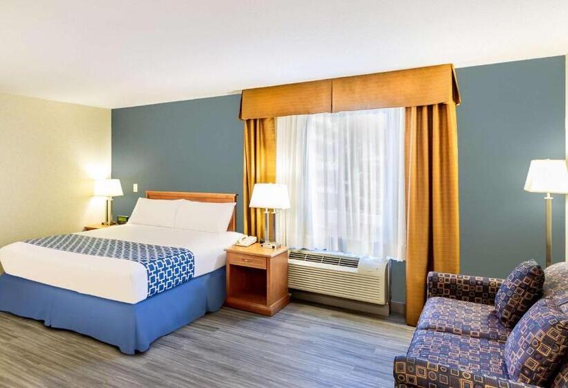 スイート, Econo Lodge Inn & Suites University