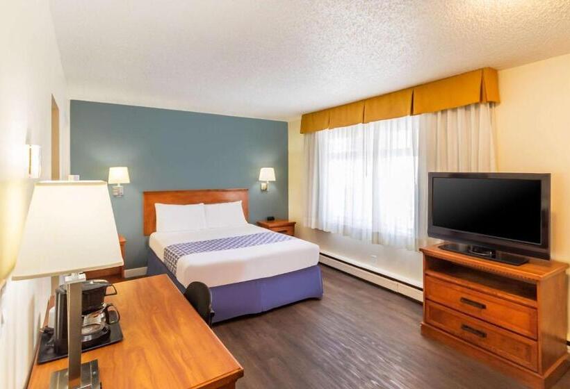 スイート, Econo Lodge Inn & Suites University