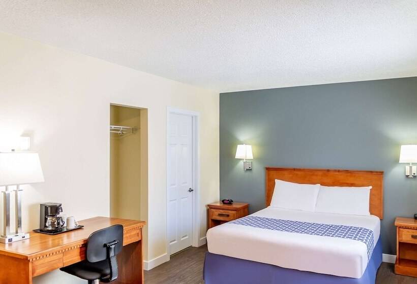 スイート, Econo Lodge Inn & Suites University