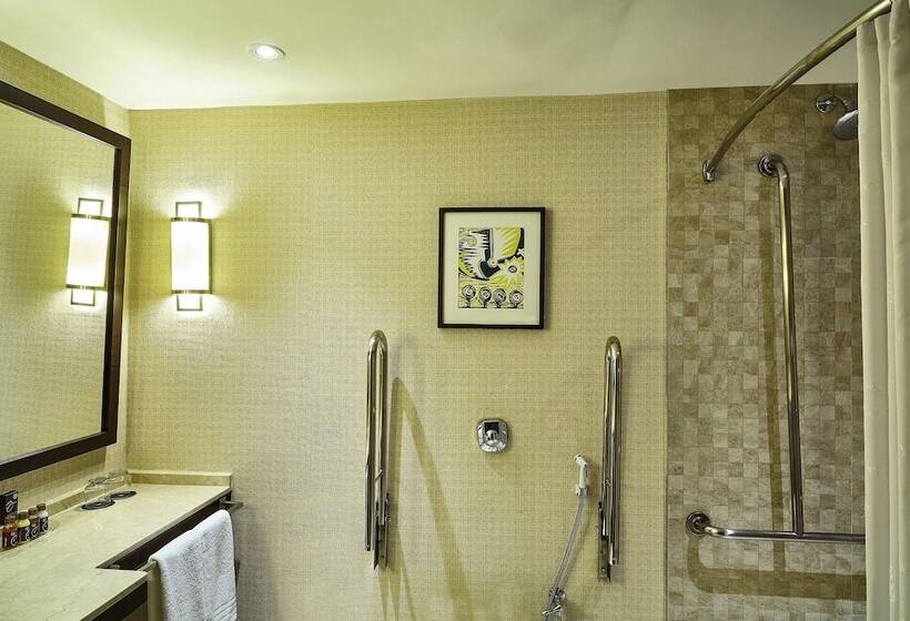 Standard Room Double Bed Side Sea View, Sheraton Grand Rio Hotel & Resort
