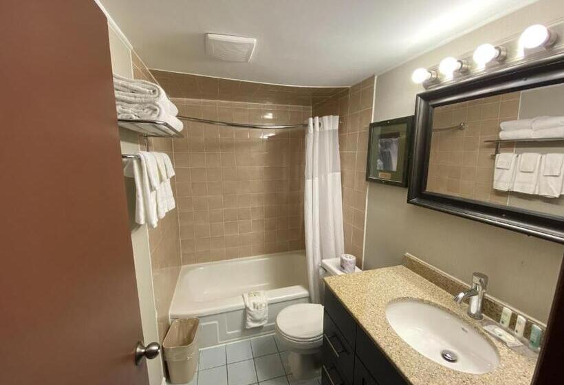 スタンダードルーム, Quality Inn & Suites