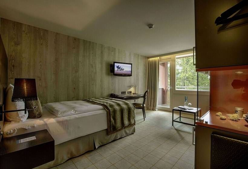 Номер Стандарт Индивидуальный, Grischa   Das Hotel Davos