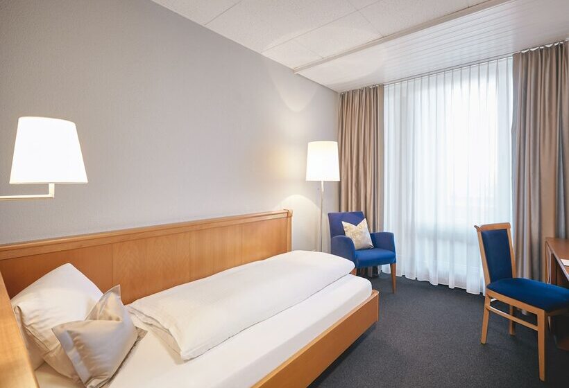 单人经济间, Schiff Am Rhein
