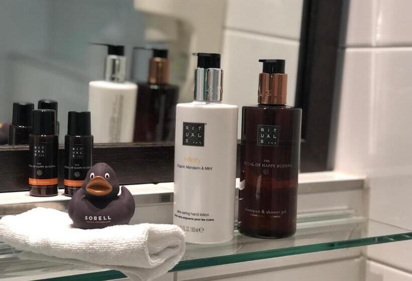 اتاق استاندارد یک نفره, Sorell Hotel Rütli