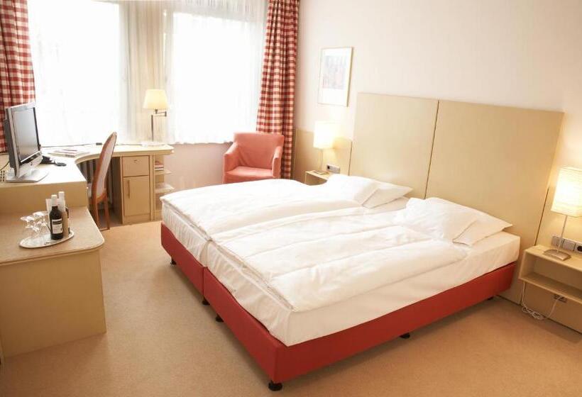 舒适型房间, Baseler Hof