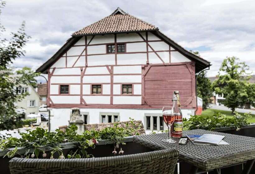 Полулюкс, Ganter Hotel & Restaurant Mohren