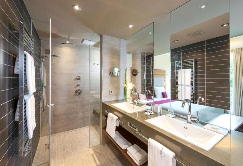Полулюкс, Dorint Thermenhotel Freiburg