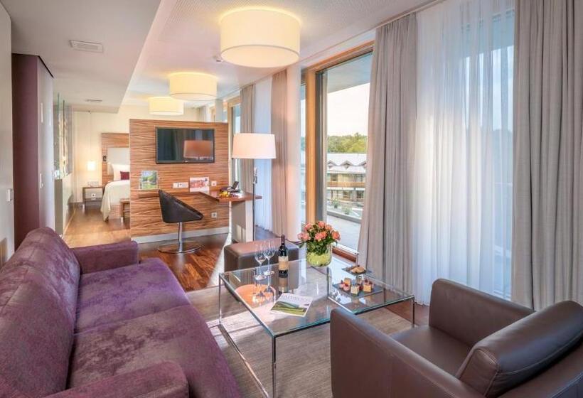 Полулюкс Одноместный с Террасой, Dorint Thermenhotel Freiburg