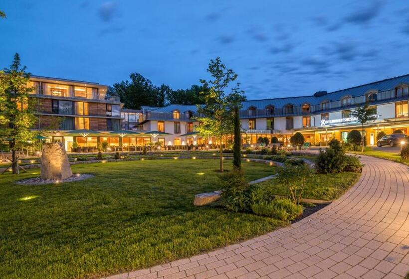 Номер Стандарт с Террасой, Dorint Thermenhotel Freiburg