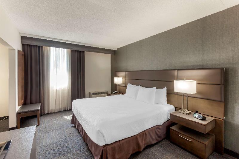 اتاق استاندارد با تخت بزرگ, Sheraton Frankfurt Airport Hotel & Conference Center
