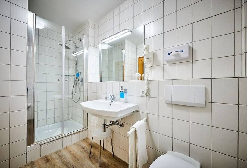 Классический Номер, Posthotel Donaustauf