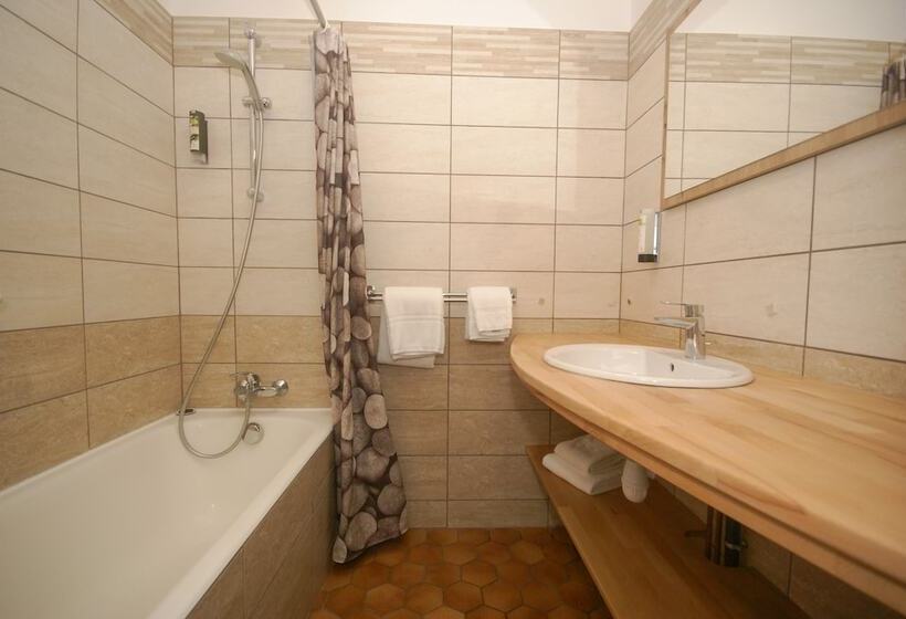 Номер Стандарт, Logis Grand Hotel Bain