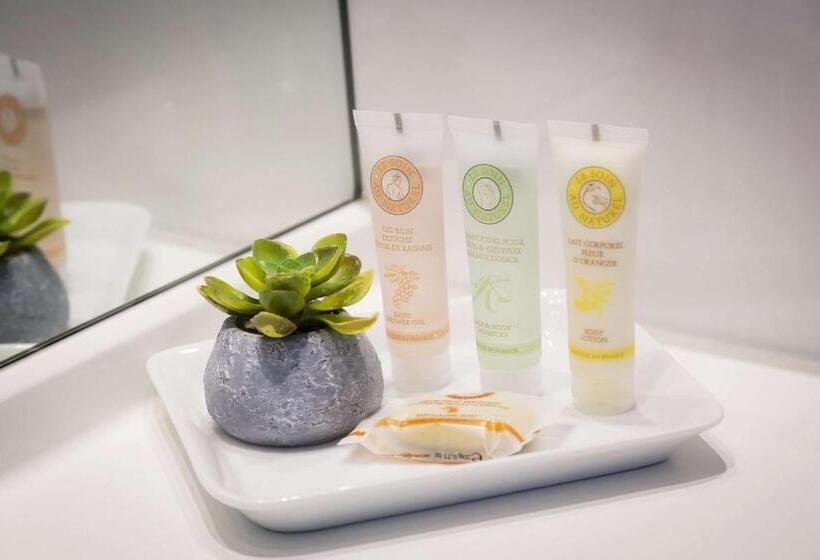 舒适型房间, Best Western Plus  Elixir Grasse