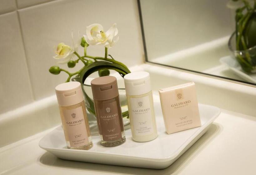 行政房间, Best Western Plus  Elixir Grasse