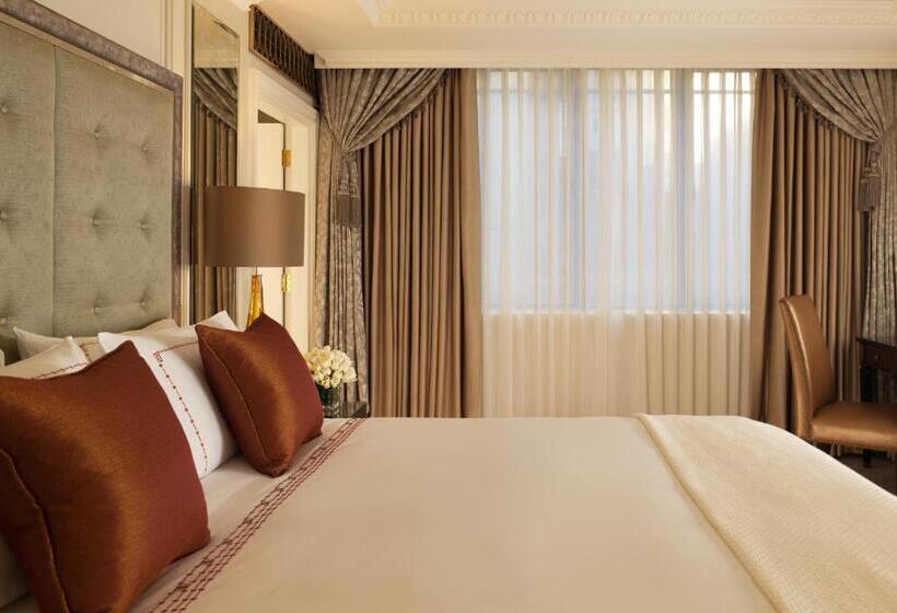 小型豪华套房, The Dorchester   Dorchester Collection