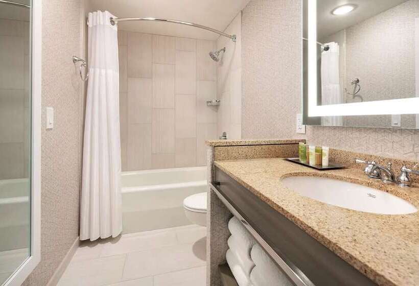 Стандартный Номер Кровать Кинг, Hilton Amsterdam Airport Schiphol