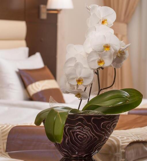 اتاق کلاس بیزنس, Grand Hotel Coroana