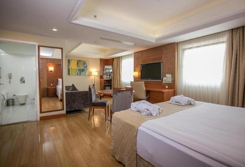 スイート, Holiday Inn Istanbul City, An Ihg