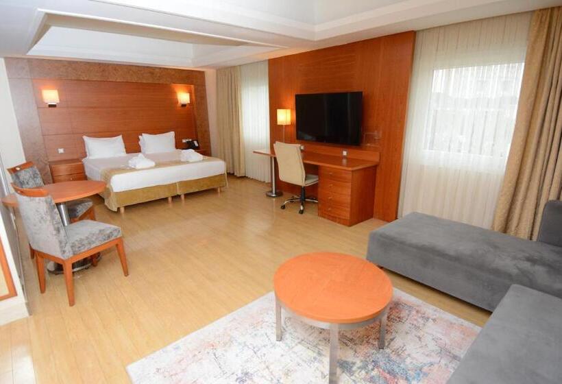 キングサイズベッドのエクゼクティブ, Holiday Inn Istanbul City, An Ihg