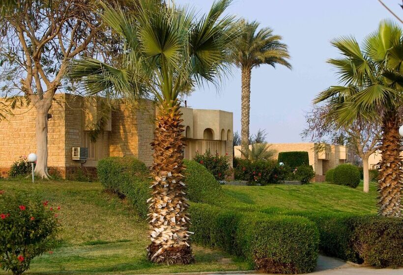 اتاق سوپریور با چشم‌انداز باغ, Mercure Ismailia Forsan Island