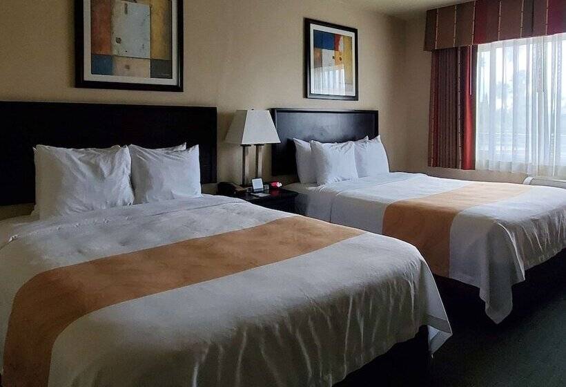 Standard-huone 2 Parivuodetta, Quality Inn & Suites Anaheim At The Park