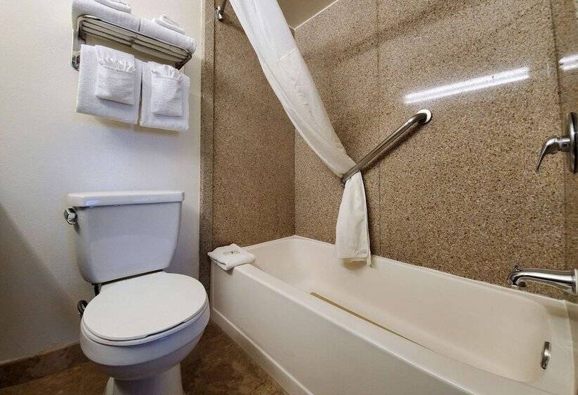 Standard-huone, Quality Inn & Suites Anaheim At The Park
