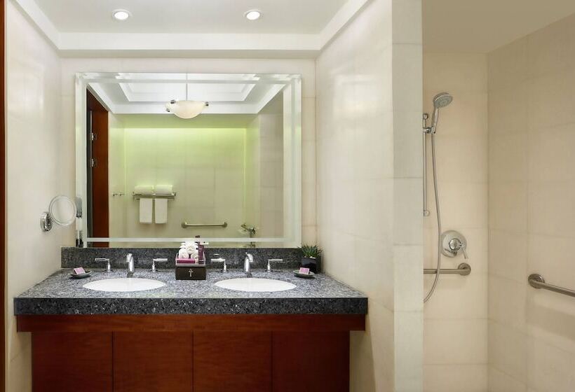 琮城市景观的豪华间, The Nile Ritz Carlton