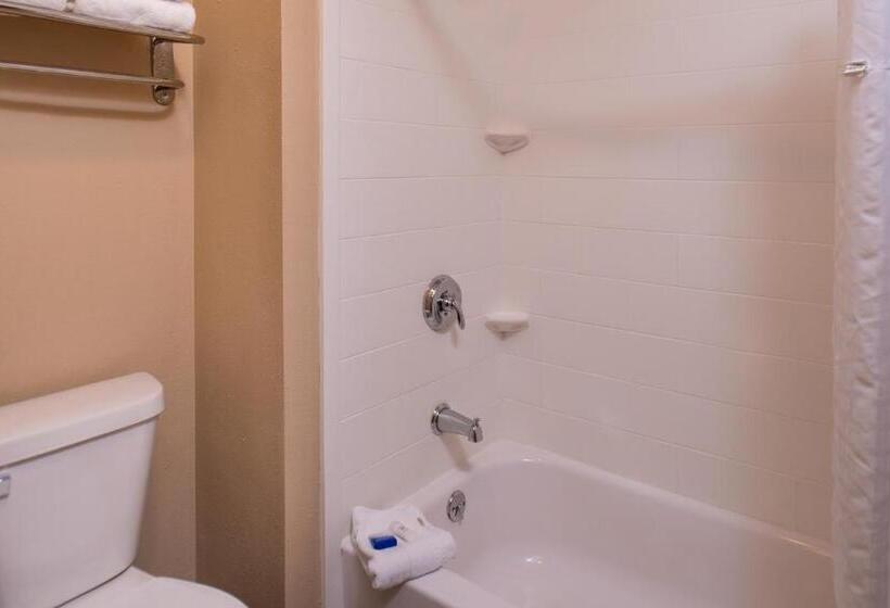 Номер Стандарт Вид на Бассейн, Best Western Ambassador Inn & Suites