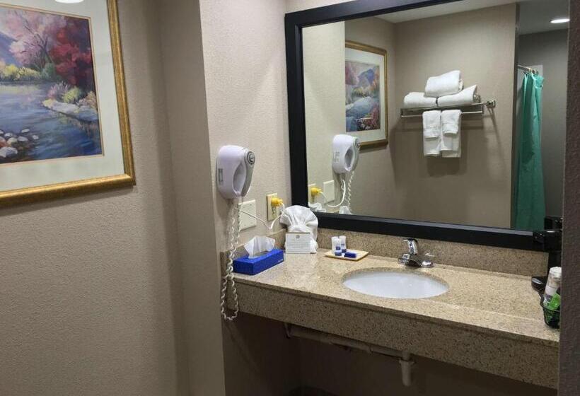适合残疾人士使用的带超级大床的标准间, Best Western Gateway Adirondack Inn