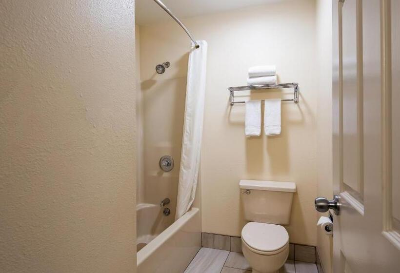 Номер Стандарт 2 Двуспальные Кровати, Best Western Parkside Inn