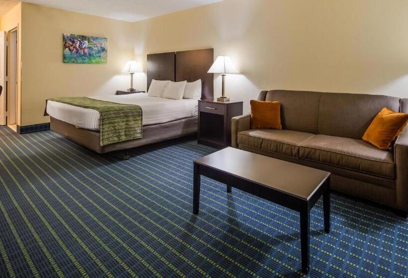 Стандартный Номер Кровать Кинг, Best Western Parkside Inn