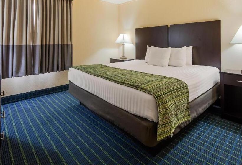 Номер Стандарт Кровать Кинг Адаптированный для Инвалидов, Best Western Parkside Inn