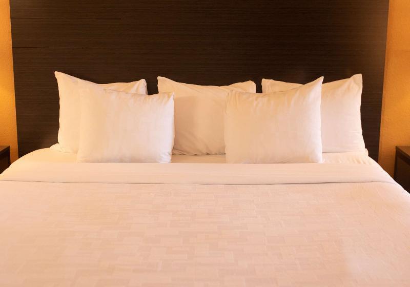 스탠다드 룸 킹사이즈 침대, Best Western Sonoma Winegrower's Inn