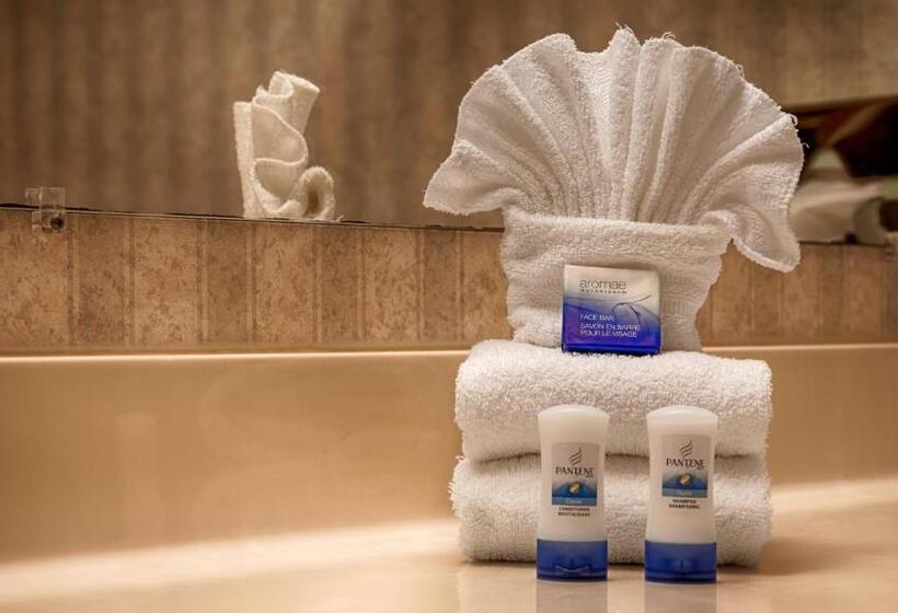 장애인을 위한 퀸사이즈 스탠다드 룸, Best Western University Lodge