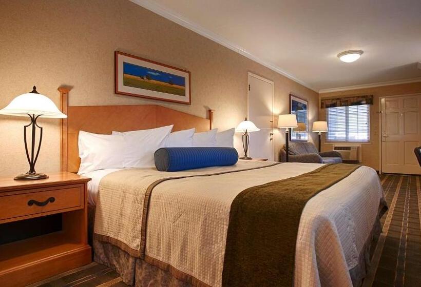 장애인을 위한 퀸사이즈 스탠다드 룸, Best Western University Lodge
