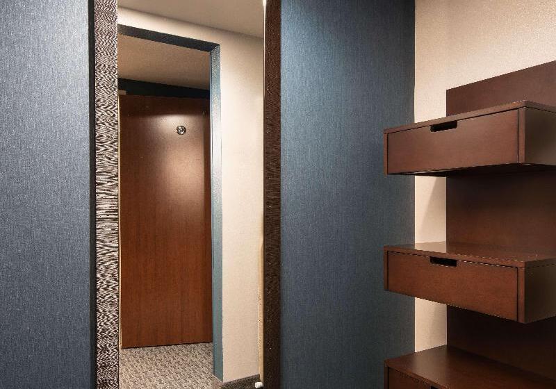 Premium Room, Hilton Garden Inn Denver/cherry Creek