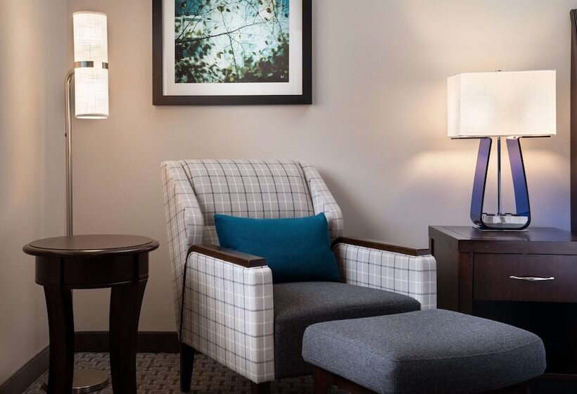 Standard Room Double Bed, Hilton Garden Inn Denver/cherry Creek